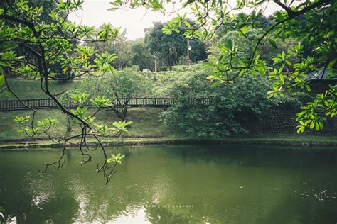 台北磁場好的地方|《台北南港》南港公園 蘊藏世界罕見最高地穴能量公園、盡情享。